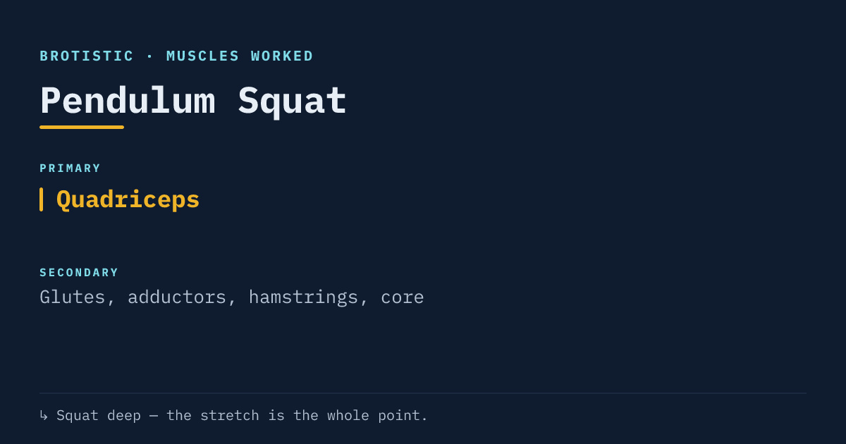 Muscles worked by the pendulum squat: primary quadriceps, secondary glutes, adductors, hamstrings and core